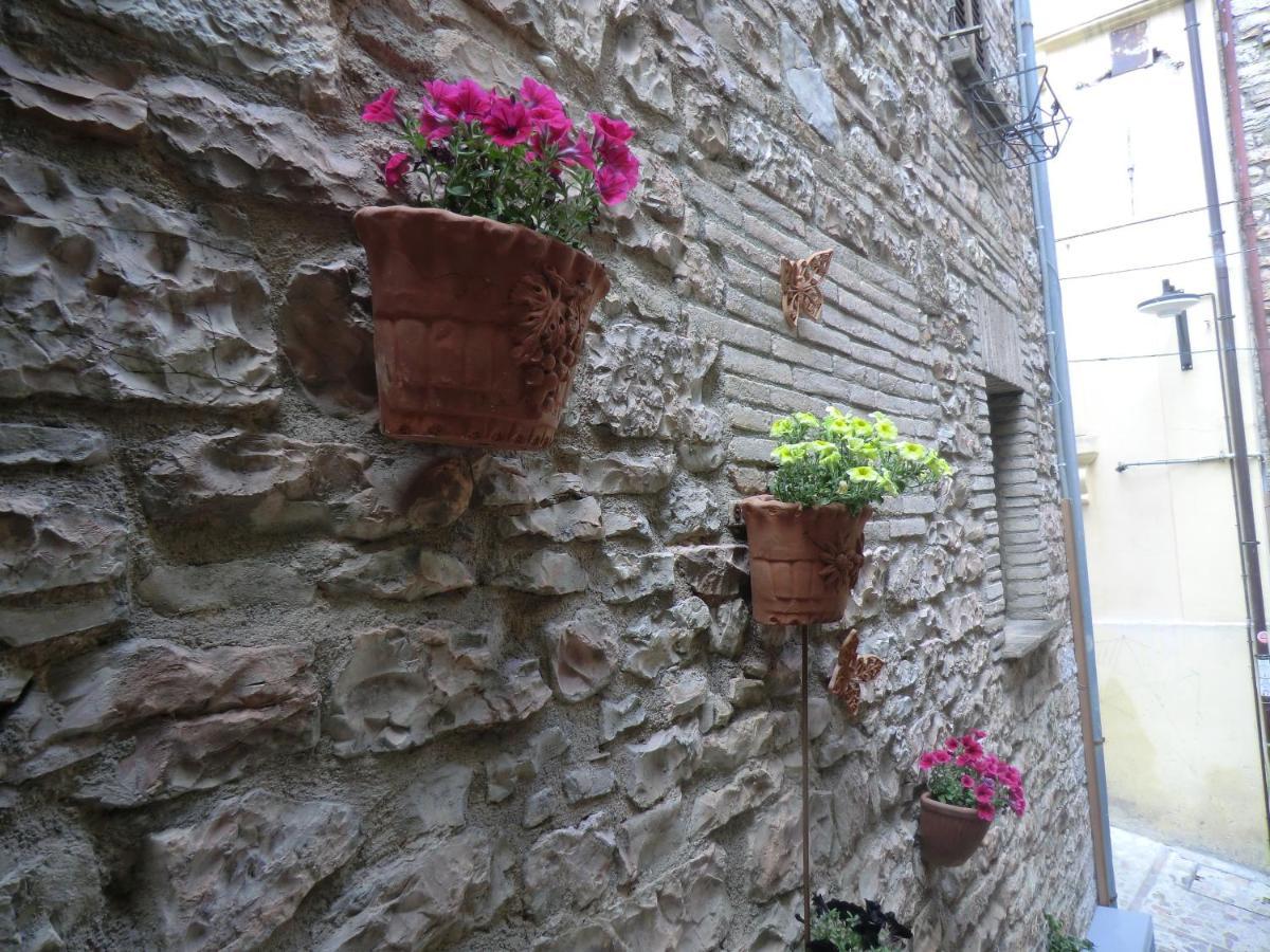 La Corta Di Spello Camere Exteriér fotografie
