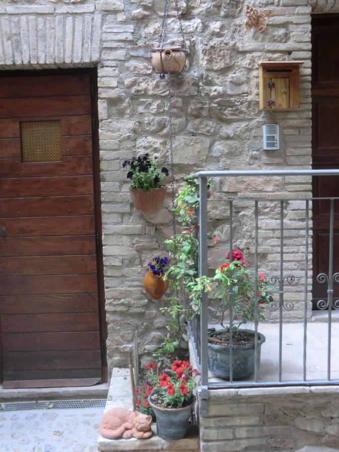 La Corta Di Spello Camere Exteriér fotografie