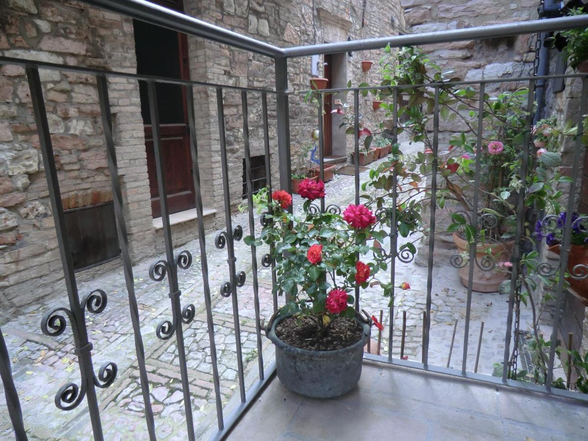 La Corta Di Spello Camere Exteriér fotografie