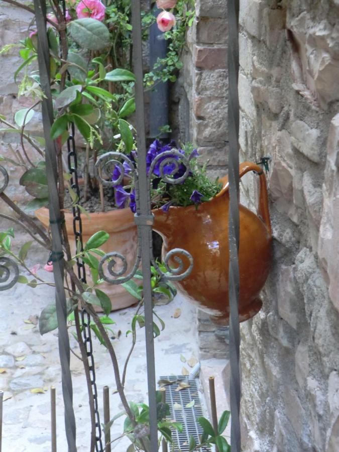 La Corta Di Spello Camere Exteriér fotografie